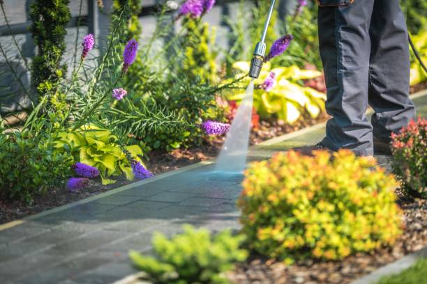 Washoe Valley, NV Pressure Washing Services Company